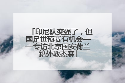 印尼队变强了，但国足世预赛有机会——专访北京国安荷兰籍外教杰森